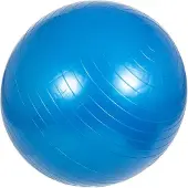 Gorilla Sports Fitnessbal Blauw 75 cm incl. pomp