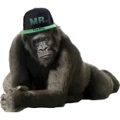 VAN IKKE Muursticker Gorilla