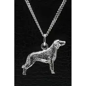 MOOYE ® - Collectie Zilveren Duitse staander langhaar ketting hanger - groot