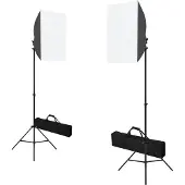 vidaXL Professionele studiolampen 2 st 40x60 cm staal zwart