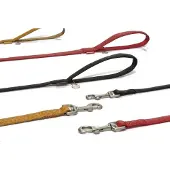 Beeztees Hondenlooplijn 120 X 2,5 Cm Rood