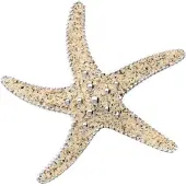 MOOYE ® - Collectie Zilveren Zeester groot met strandzand kettinghanger