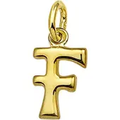 The Jewelry Collection Hanger Letter F - Goud