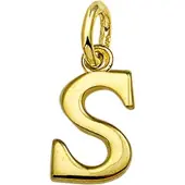 The Jewelry Collection Hanger Letter S - Goud