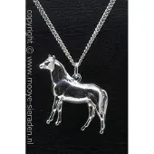 MOOYE ® - Collectie Zilveren Arabier massief groot ketting hanger