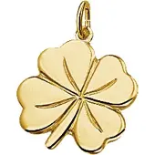 Trendjuwelier huiscollectie 4005606 Gouden bedel klaver