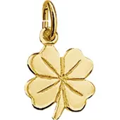Trendjuwelier huiscollectie 4005602 Gouden bedel klaver
