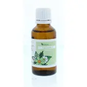 Balance pharma RGP004 Nieren Regenoplex