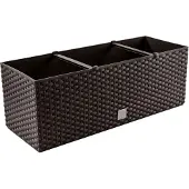 Prosperplast Terra Rato Rectangular 17l 52x20x19 Cm Plantenbak