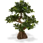 Maxifleur Kunstplanten Panda Bonsai 70 cm op voet