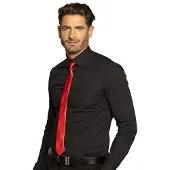Boland Stropdas Shiny rood (Rood)