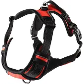 Flamingo Hondentuig Balou Rood L 60-85 cm x 25 mm