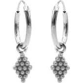 Karma symbols Oorring grapes zilver M2946