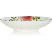 Villeroy & Boch - Amazonia - Ovale schaal 30x18cm(2)