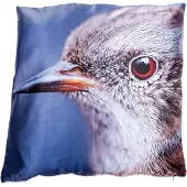 In the Mood Fotoprint Vogel - Sierkussen - 45x45 cm - Multi