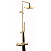 Plieger Roma opbouw regendouche 25cm geborsteld goud