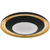 Eglo Plafondlamp CANICOSA 2 plafondlamp, goud, zwart, dimbaar, tuneable white, CCT (1 stuk)