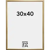 Walther design Trendstyle - Kunststof lijst - Fotoformaat 30x40 cm - Goud