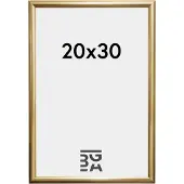 Walther design Trendstyle - Kunststof lijst - Fotoformaat 20x30 cm - Goud