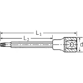 Stahlwille 1054 TX T 60 03131460 1/2 (12,5 mm) Schroevendraaierdop T 60 1/2 (12.5 mm)