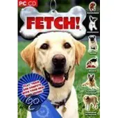 Fetch - Windows