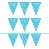 Nijntje Set van 3x stuks blauwe thema geboorte vlaggenlijnen van 6