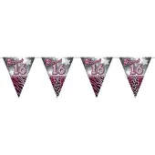 Folat 5x stuks leeftijd vlaggenlijnen sweet 16 van 10 meter