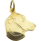 Christian Gouden hond hoofd hanger