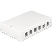 DeLOCK Uitvoerdoos | voor 6 of 12 Keystone modules | wit