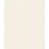 Dutch Wallcoverings Vliesbehang effen beige 53cm x 10m IW1003