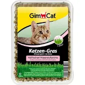GimCat 12x Kattengras 150 Gr