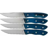 Amefa Hercule 4 delige steakmessenset blauw