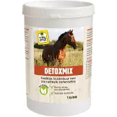 VITALstyle Detoxmix