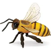Safari Ltd. Honey Bee beeldje - levensecht 5,5" modelfiguur - educatief speelgoed voor jongens, meisjes en kinderen vanaf 3 jaar +