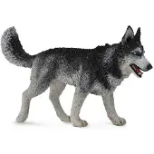 Collecta Honden (L): SIBERISCHE HUSKY 10.5x6.2cm