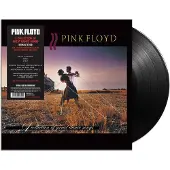 Warner Music Pink Floyd - A COLLECTION OF GREAT DANCE | Vinyl
