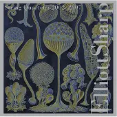 Import String quartet 2