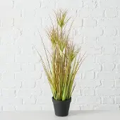 Boltze Plant in pot - Glanshaver - 60cm - Groen - Kunststof -