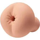 Erotic Treasure Realistische Anaal Stroker - Masturbator