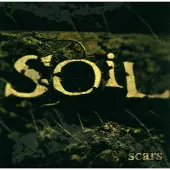 Bertus Distributie Scars