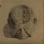 Prophecy Farsot - Insects (LP)