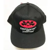 Warner bros Batman & Robin Logo Cap - Pet
