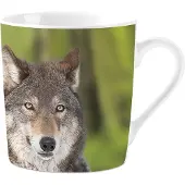 Plenty Gifts Mok Wolves