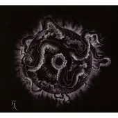 Cd Darkness Transcend