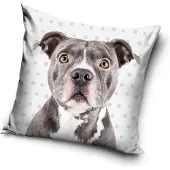 Carbotex Hond - Sierkussen Kussen 40 x 40 cm inclusief vulling