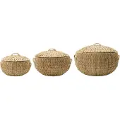 House Doctor Bewaardozen, Rata, Natuur