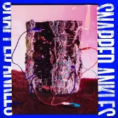Ginza.se Snapped Ankles - Forest Of Your Problems (LP)