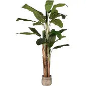 Label51 Musa 180 cm groen