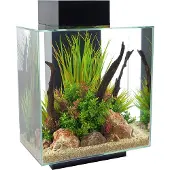 Fluval Edge Led 2.0 46l Aquariumset