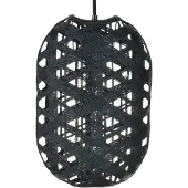 Forestier Capsule Hanglamp Black | Small